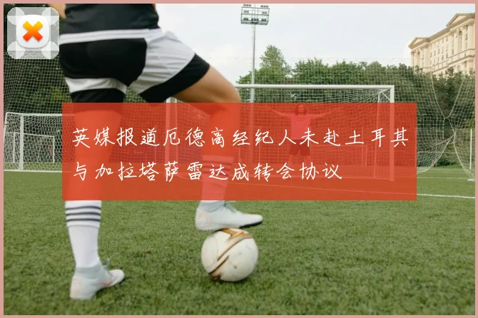 英媒报道厄德高经纪人未赴土耳其与加拉塔萨雷达成转会协议
