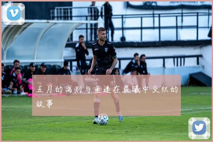 五月的离别与重逢在晨曦中交织的故事