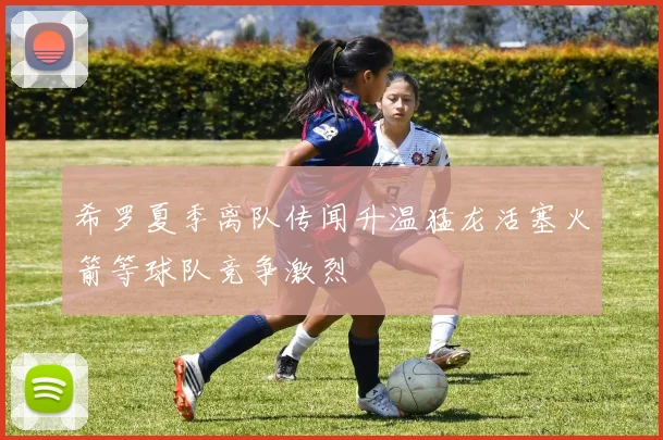 希罗夏季离队传闻升温猛龙活塞火箭等球队竞争激烈