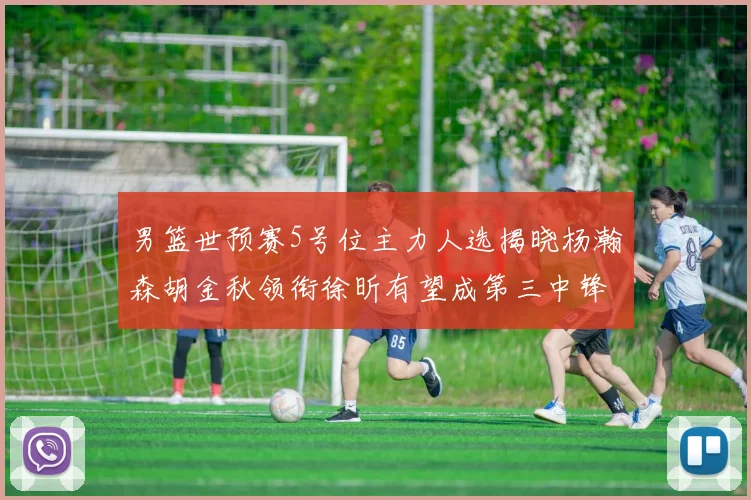 男篮世预赛5号位主力人选揭晓杨瀚森胡金秋领衔徐昕有望成第三中锋